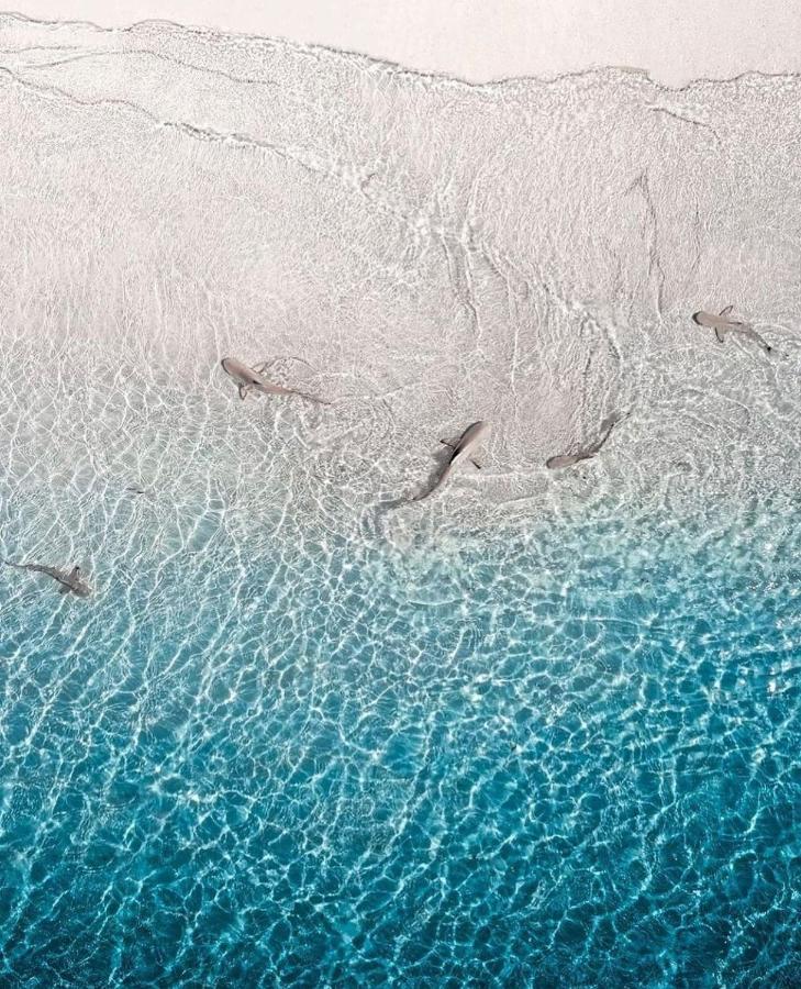 Paradise Retreat, Maafushi Bagian luar foto